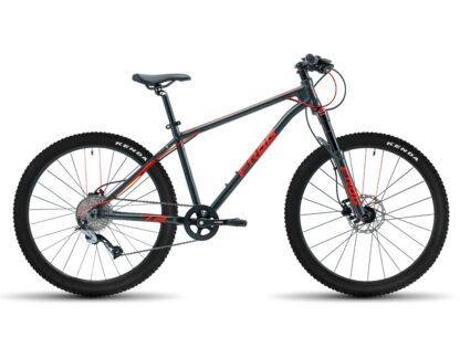 Frog 72 Mountain Bike